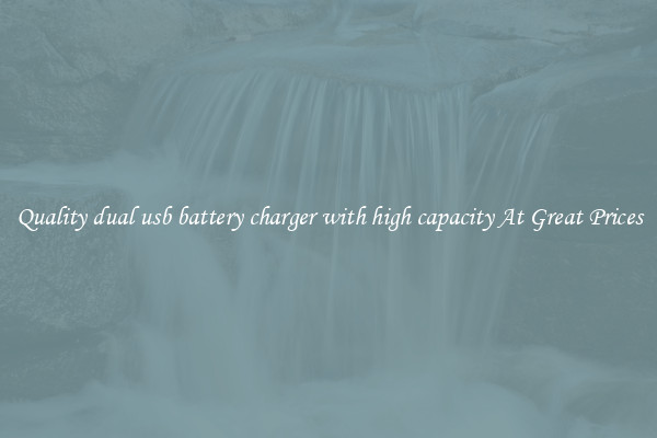 Quality dual usb battery charger with high capacity At Great Prices
