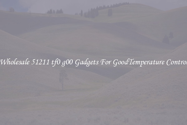 Wholesale 51211 tf0 g00 Gadgets For GoodTemperature Control