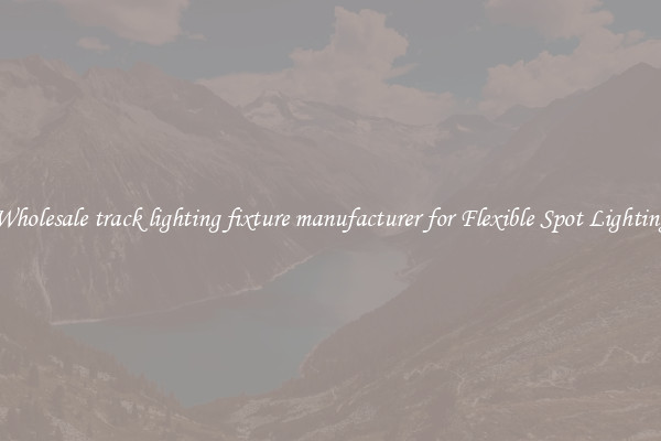 Wholesale track lighting fixture manufacturer for Flexible Spot Lighting