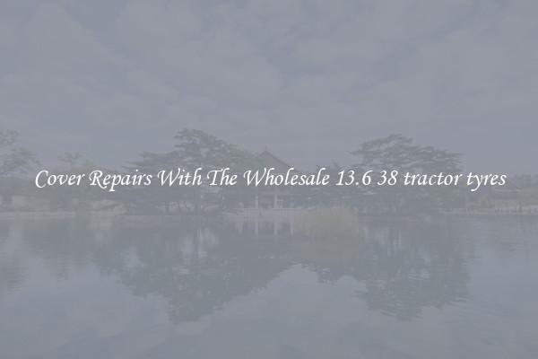  Cover Repairs With The Wholesale 13.6 38 tractor tyres 