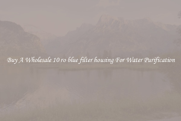 Buy A Wholesale 10 ro blue filter housing For Water Purification