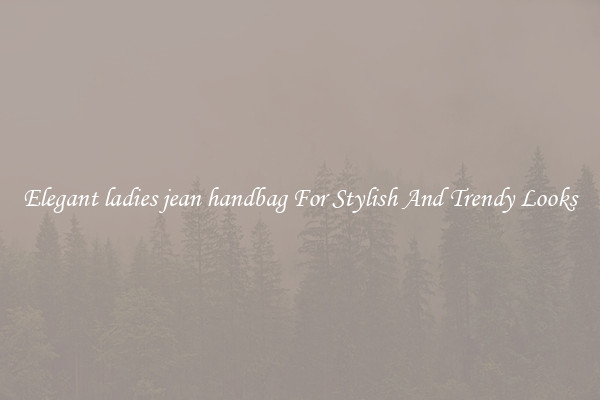 Elegant ladies jean handbag For Stylish And Trendy Looks
