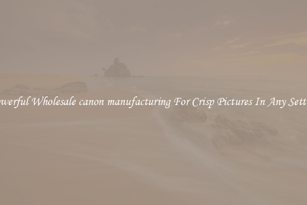 Powerful Wholesale canon manufacturing For Crisp Pictures In Any Setting