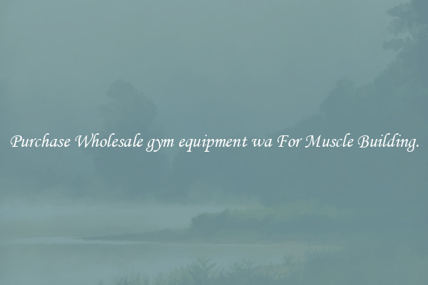 Purchase Wholesale gym equipment wa For Muscle Building.