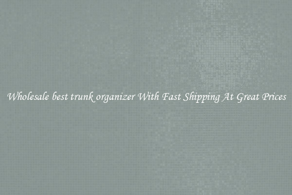 Wholesale best trunk organizer With Fast Shipping At Great Prices