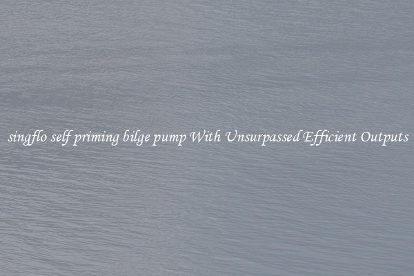singflo self priming bilge pump With Unsurpassed Efficient Outputs