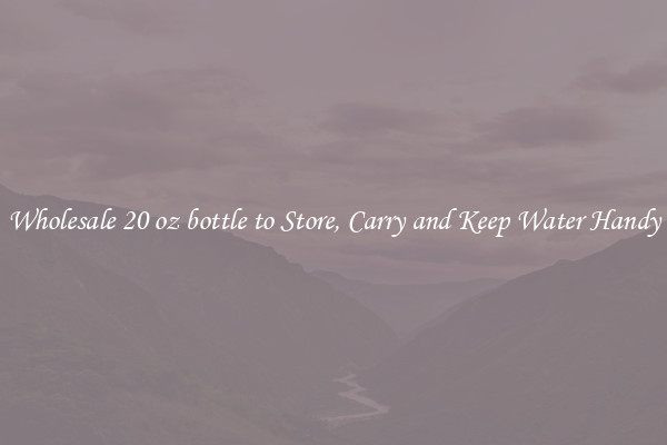 Wholesale 20 oz bottle to Store, Carry and Keep Water Handy