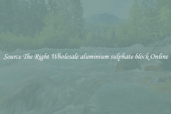 Source The Right Wholesale aluminium sulphate block Online