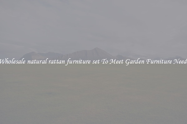 Wholesale natural rattan furniture set To Meet Garden Furniture Needs