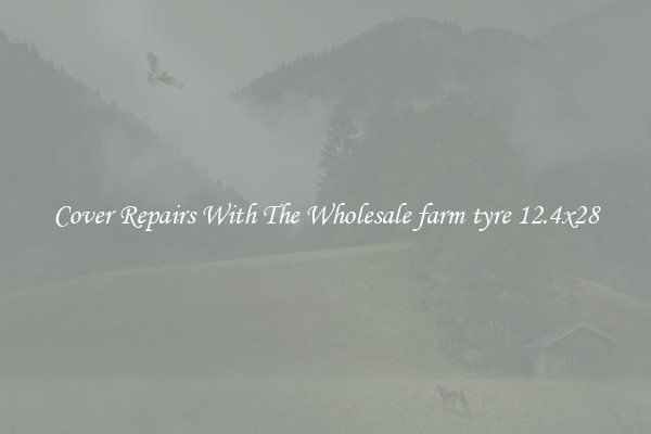  Cover Repairs With The Wholesale farm tyre 12.4x28 