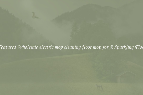 Featured Wholesale electric mop cleaning floor mop for A Sparkling Floor