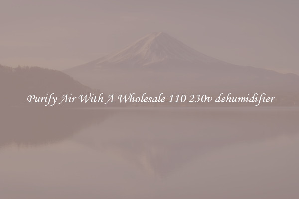 Purify Air With A Wholesale 110 230v dehumidifier