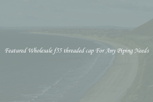 Featured Wholesale f55 threaded cap For Any Piping Needs