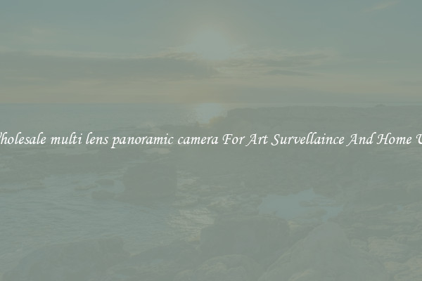 Wholesale multi lens panoramic camera For Art Survellaince And Home Use