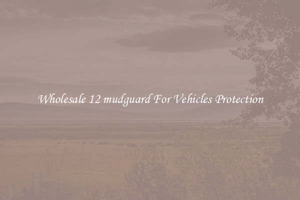 Wholesale 12 mudguard For Vehicles Protection