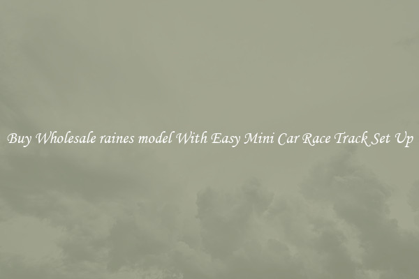 Buy Wholesale raines model With Easy Mini Car Race Track Set Up