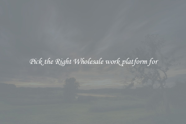 Pick the Right Wholesale work platform for