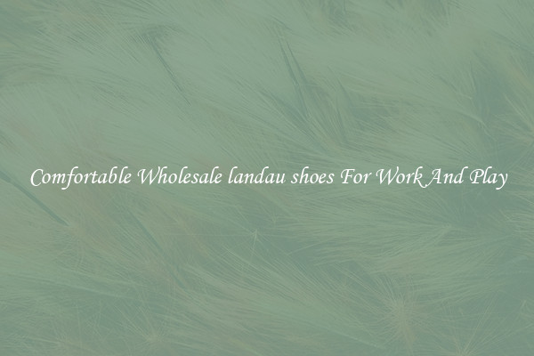 Comfortable Wholesale landau shoes For Work And Play