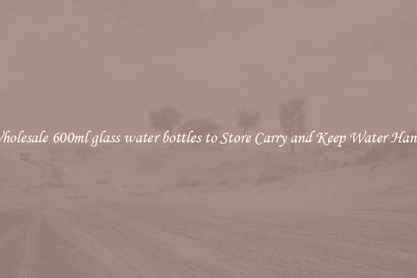 Wholesale 600ml glass water bottles to Store Carry and Keep Water Handy