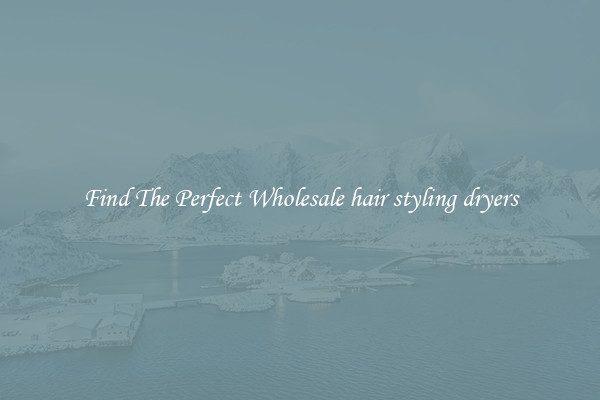 Find The Perfect Wholesale hair styling dryers