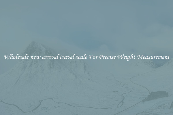 Wholesale new arrival travel scale For Precise Weight Measurement