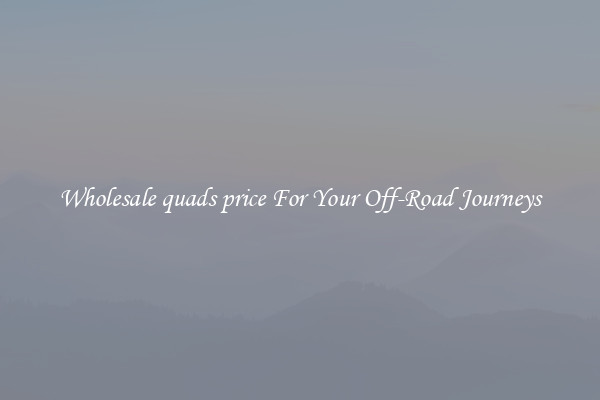 Wholesale quads price For Your Off-Road Journeys