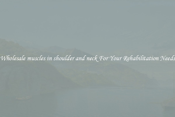 Wholesale muscles in shoulder and neck For Your Rehabilitation Needs