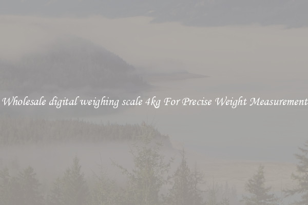 Wholesale digital weighing scale 4kg For Precise Weight Measurement