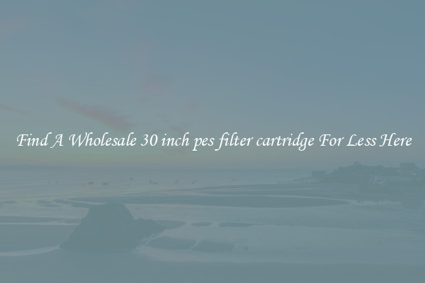 Find A Wholesale 30 inch pes filter cartridge For Less Here