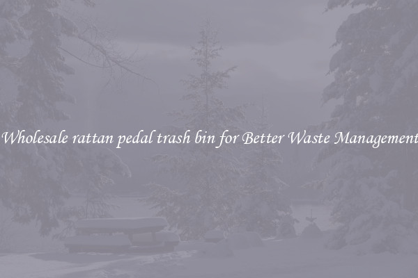 Wholesale rattan pedal trash bin for Better Waste Management