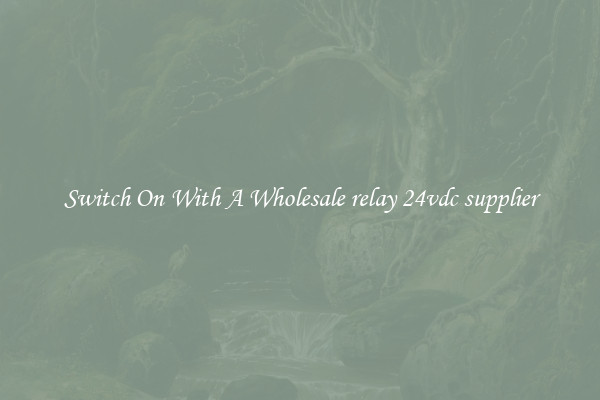 Switch On With A Wholesale relay 24vdc supplier