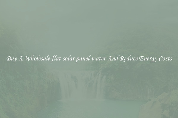 Buy A Wholesale flat solar panel water And Reduce Energy Costs