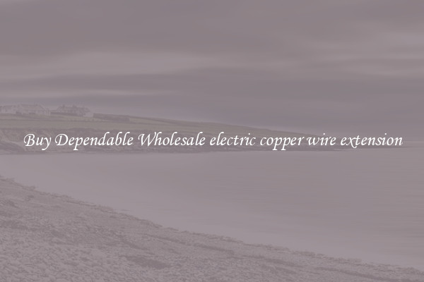 Buy Dependable Wholesale electric copper wire extension